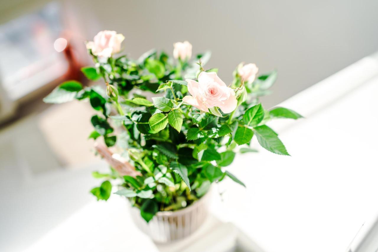 Empire Blackpool Apartments - Dickson Road 部屋 写真