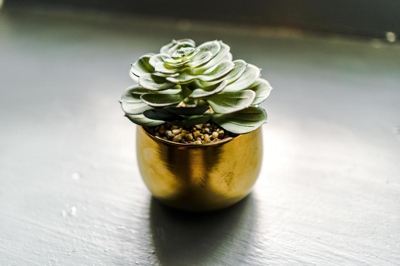 Empire Blackpool Apartments - Dickson Road 部屋 写真